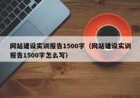 网站建设实训报告1500字（网站建设实训报告1500字怎么写）